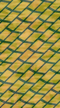 Benzersiz dijital hareket grafiklerine sahip yaratıcı sinematik projeler için yumuşak animasyon yüzeyi