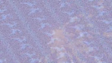 Benzersiz dijital hareket grafiklerine sahip yaratıcı sinematik projeler için yumuşak animasyon yüzeyi