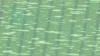 Yaratıcı video düzenleme film arkaplan tasarımı için minimalist organik hareket grafikleri