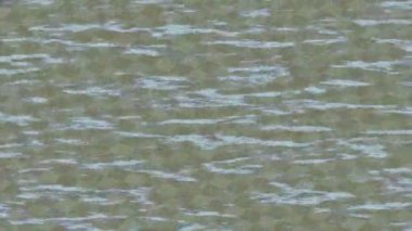 Estetik doku arkaplan tasarımı renkli hareket grafikleri ile moda film giriş profosyoneli