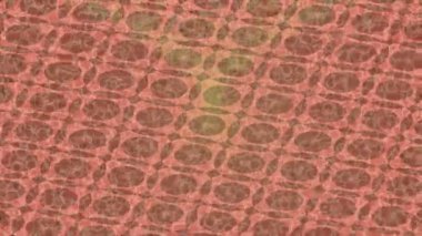 Benzersiz dijital hareket grafiklerine sahip yaratıcı sinematik projeler için yumuşak animasyon yüzeyi