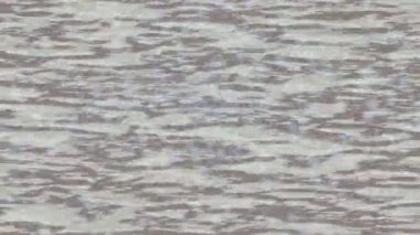 Estetik doku arkaplan tasarımı renkli hareket grafikleri ile moda film giriş profosyoneli