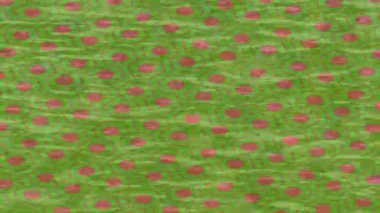 Benzersiz video giriş tasarımı projeleri için detaylı yüzey kalıbı film animasyon stili grafik girişi