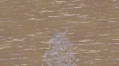 Lüks hareket projeleri için soyut tasarım stili animasyonu olan üst düzey dijital doku