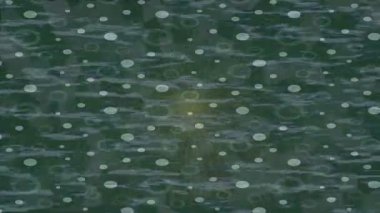 Organik desenli yüzey giriş stili video film sanatı ile soyut arkaplan tasarımı