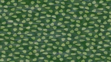 Benzersiz dijital hareket grafiklerine sahip yaratıcı sinematik projeler için yumuşak animasyon yüzeyi