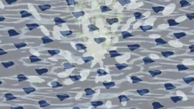 Estetik doku arkaplan tasarımı renkli hareket grafikleri ile moda film giriş profosyoneli