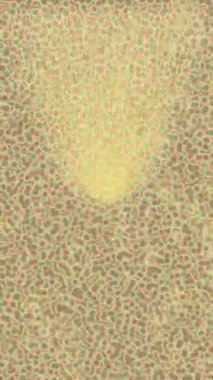 Benzersiz dijital animasyon tarzı grafikleri olan yaratıcı ortam tasarımı için yenilikçi hareket dokusu