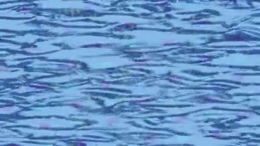 Dijital doku yüzey tasarım biçimi ile modern video animasyonu için gelişmiş hareket grafikleri