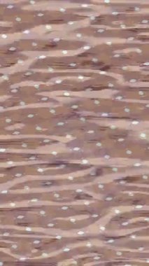 Yaratıcı video düzenleme film tasarımı için benzersiz hareket grafikleri biçimi giriş hareketi video pro