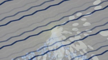 Lüks hareket tasarımı üst düzey video projeleri ve dijital sanat için zarif, pürüzsüz bir dokusu var.