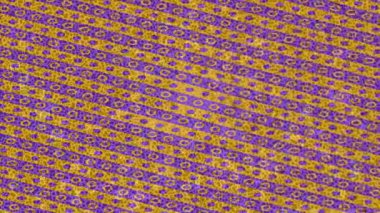 Dijital doku yüzey tasarım biçimi ile modern video animasyonu için gelişmiş hareket grafikleri