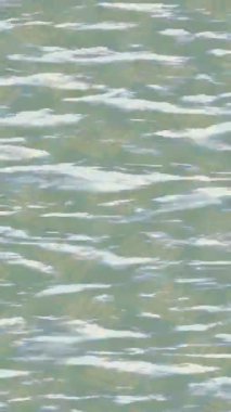 Lüks hareket projeleri için soyut tasarım stili animasyonu olan üst düzey dijital doku