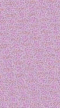 Profesyonel video projeleri sanat tarzı için organik hareketli arkaplan tasarımı