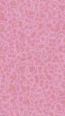 Modern medya üretimi için fütüristik dijital soyut doku sinematik tarz hareketli grafik ögesi