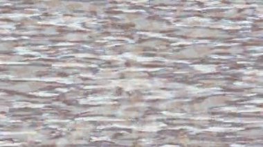 Benzersiz video giriş tasarımı projeleri için detaylı yüzey kalıbı film animasyon stili grafik girişi