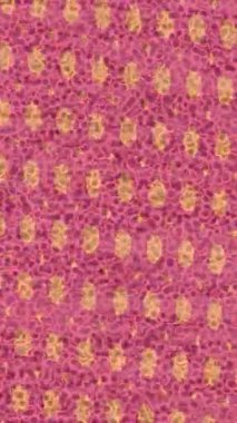 Benzersiz dijital hareket grafiklerine sahip yaratıcı sinematik projeler için yumuşak animasyon yüzeyi