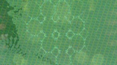 Benzersiz dijital animasyon tarzı grafikleri olan yaratıcı ortam tasarımı için yenilikçi hareket dokusu