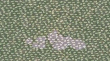 Benzersiz dijital animasyon tarzı grafikleri olan yaratıcı ortam tasarımı için yenilikçi hareket dokusu