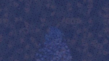 Benzersiz dijital hareket grafiklerine sahip yaratıcı sinematik projeler için yumuşak animasyon yüzeyi