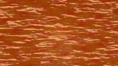 Benzersiz dijital hareket grafiklerine sahip yaratıcı sinematik projeler için yumuşak animasyon yüzeyi