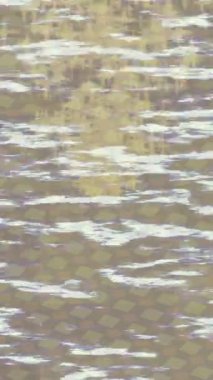 Benzersiz dijital hareket grafiklerine sahip yaratıcı sinematik projeler için yumuşak animasyon yüzeyi