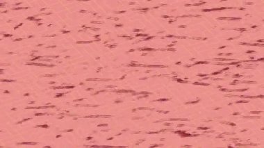 Organik desenli yüzey giriş stili video film sanatı ile soyut arkaplan tasarımı