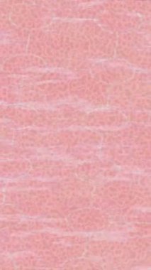 Dijital doku yüzey tasarım biçimi ile modern video animasyonu için gelişmiş hareket grafikleri