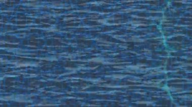 Benzersiz dijital hareket grafiklerine sahip yaratıcı sinematik projeler için yumuşak animasyon yüzeyi