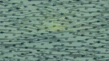 Profesyonel video projeleri sanat tarzı için organik hareketli arkaplan tasarımı