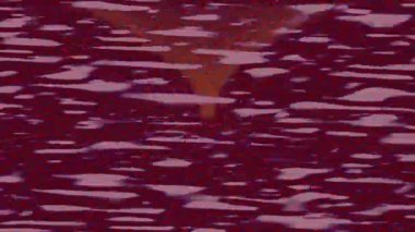 Benzersiz hareket grafikleri tasarım sanatına sahip yaratıcı film üretimi için özet bir arkaplan