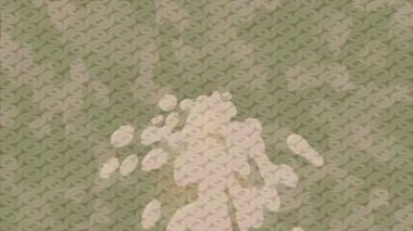 Benzersiz hareket dokusu tasarım sanatı ile profesyonel video düzenleme için modern soyut grafikler