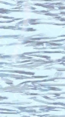 Yaratıcı video düzenleme film arkaplan tasarımı için minimalist organik hareket grafikleri