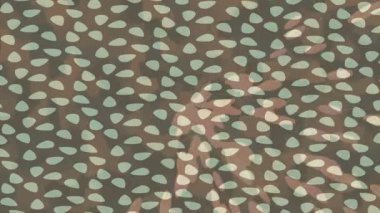 Soyut hareket desenli fütüristik video üretimi için dinamik dijital arkaplan