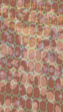 Profesyonel video projeleri sanat tarzı için organik hareketli arkaplan tasarımı