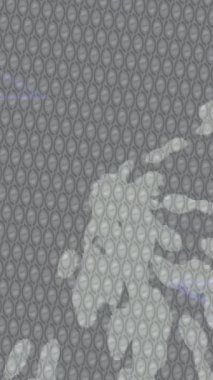 Dijital doku yüzey tasarım biçimi ile modern video animasyonu için gelişmiş hareket grafikleri