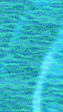 Yaratıcı video düzenleme film arkaplan tasarımı için minimalist organik hareket grafikleri