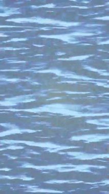 Lüks hareket projeleri için soyut tasarım stili animasyonu olan üst düzey dijital doku