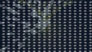 Dijital doku yüzey tasarım biçimi ile modern video animasyonu için gelişmiş hareket grafikleri