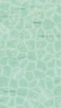 Yaratıcı video düzenleme film arkaplan tasarımı için minimalist organik hareket grafikleri