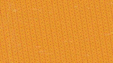 Benzersiz dijital animasyon tarzı grafikleri olan yaratıcı ortam tasarımı için yenilikçi hareket dokusu