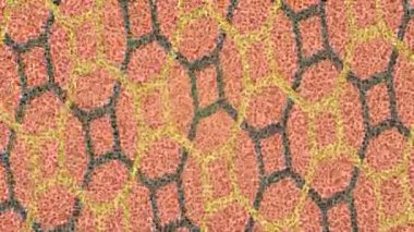 Yaratıcı video düzenleme film arkaplan tasarımı için minimalist organik hareket grafikleri