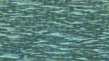 Profesyonel video projeleri sanat tarzı için organik hareketli arkaplan tasarımı