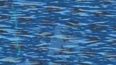 Yaratıcı video düzenleme film arkaplan tasarımı için minimalist organik hareket grafikleri