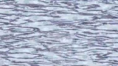 Profesyonel video projeleri sanat tarzı için organik hareketli arkaplan tasarımı