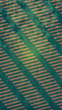 Benzersiz dijital animasyon tarzı grafikleri olan yaratıcı ortam tasarımı için yenilikçi hareket dokusu