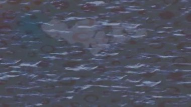 Profesyonel video projeleri sanat tarzı için organik hareketli arkaplan tasarımı