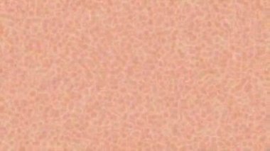 Profesyonel video projeleri sanat tarzı için organik hareketli arkaplan tasarımı