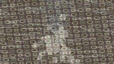 Profesyonel video projeleri sanat tarzı için organik hareketli arkaplan tasarımı