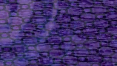 Profesyonel video projeleri sanat tarzı için organik hareketli arkaplan tasarımı